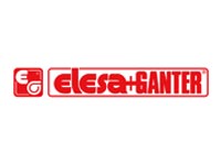 Elesa and genter